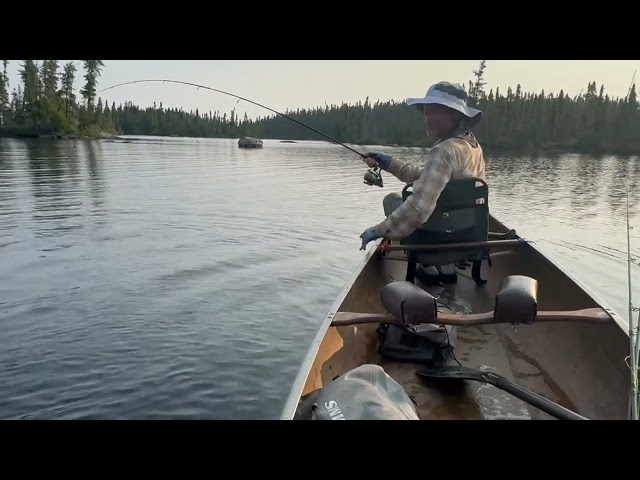 25.5 inch Walleye Landing