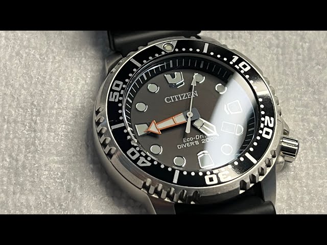 Citizen Promaster Diver Eco Drive. The Best Beginner Dive Watch!