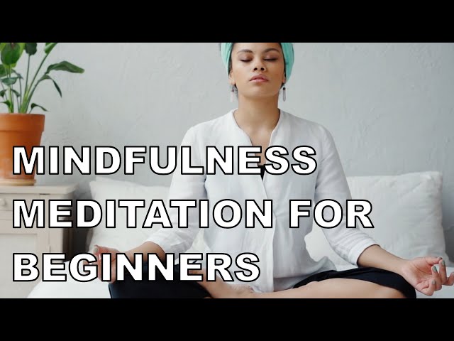 Mindfulness Meditation for Beginners