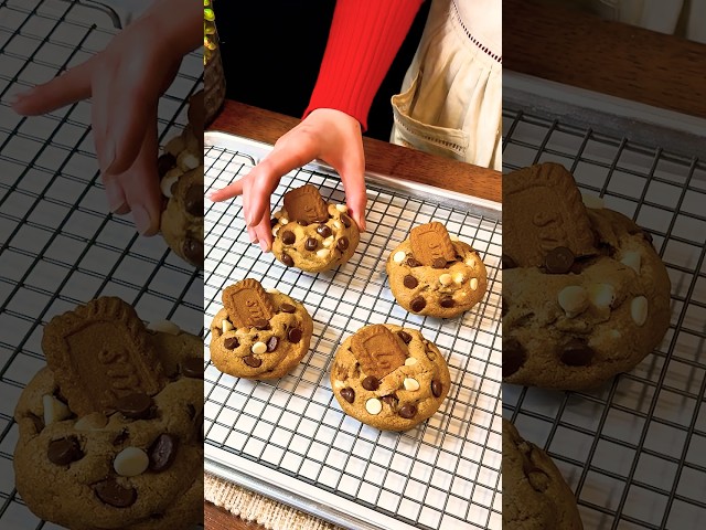 Biscoff Chocolate Chip Cookies: A Delicious Treat