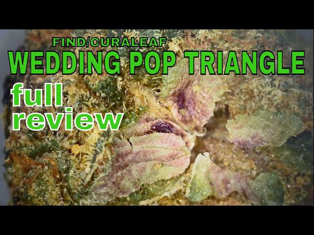 WEDDING POP TRIANGLE | Find/Curaleaf | 22% | £5/g | FULL REVIEW