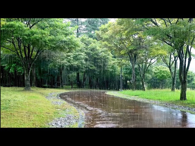 Park Rain Sound with Pleasant Memories - Natural Sound that Helps you Sleep, Improves Insomnia