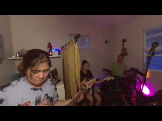 LATE BLOOMERS JAMMING - All The Small Things Cover (Chill Slow Reggae)