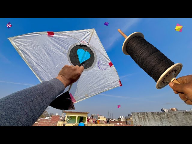 Kite Flying On Sunday | Kite Cutting | Kite Fight | Kite