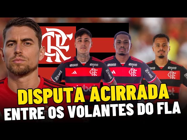 DISPUTA ACIRRADA ENTRE VOLANTES DO FLA | PULGAR, EVERTTON ARAÚJO, ALLAN E NEGOCIAÇÃO COM JORGINHO