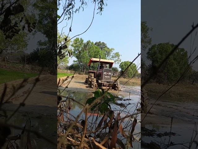 Tractor video Massey Ferguson