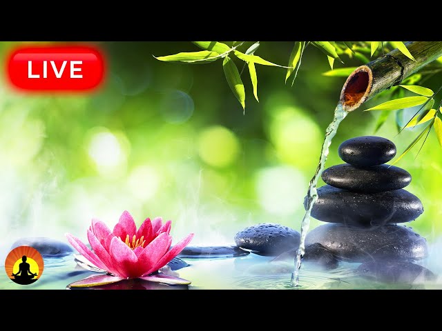 🔴 Soothing Ambient Spa Massage Music 24/7 🪷1125 - Deep Relaxation & Meditation Music | Spa Relax