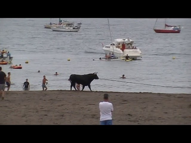 toiros na praia 11/aug/2019