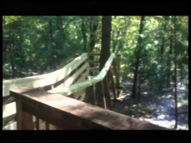 Mansfield News Journal Kaitlin at the third tree house at The Grand Barn Wedding Venue