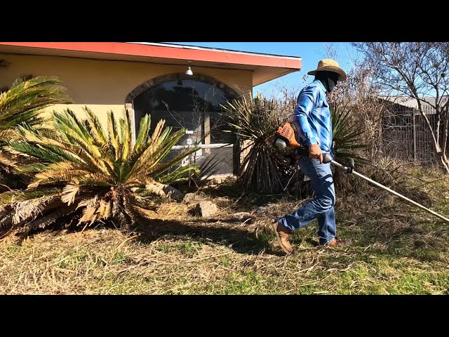 Satisfying Yard Care ASMR Mowing Edging Trimming and Grass Cutting No Talk Outdoor Work