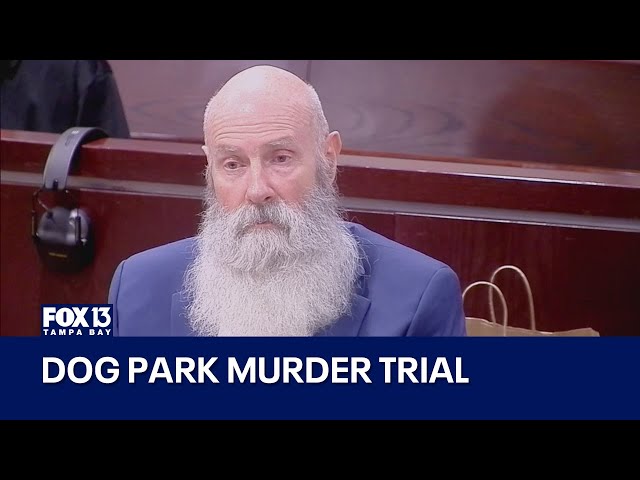 Dog park murder trial: Testimony resumes