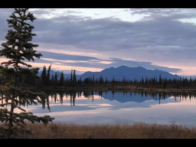 Een frontlinie in de wildernis van Alaska