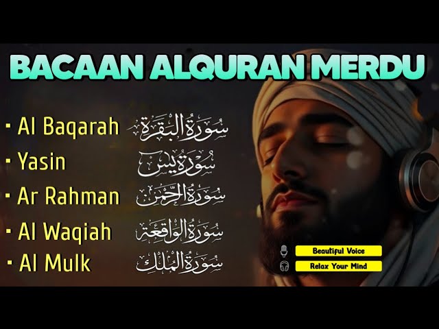 MOROTTAL AL-QURAN berceuse mélodieuse Al Baqarah|Yasin|Ar Rahman|Al Waqiah|Al Mulk|alaa aqel