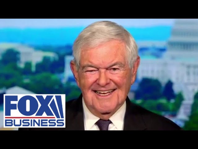 Newt Gingrich unpacks the 'civil war' in the Democratic Party