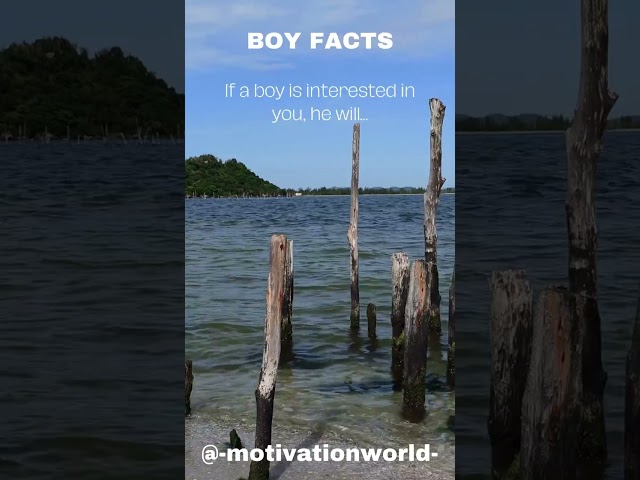 Discover Fascinating Boy Facts!