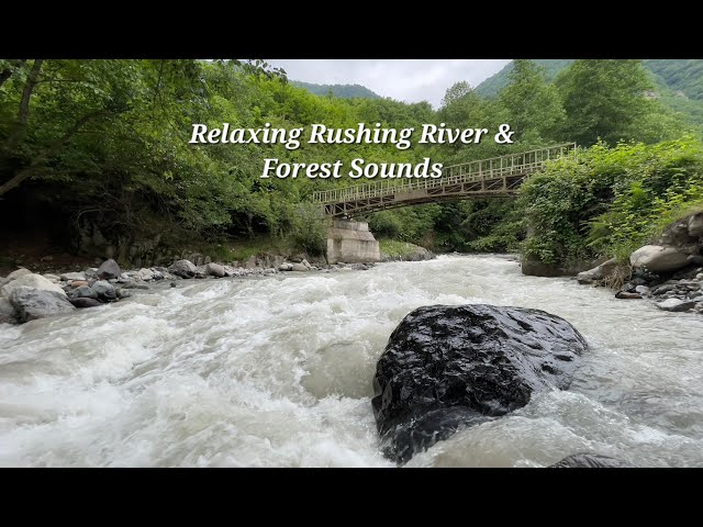 Rushing River & Forest Sounds | 4K Nature Ambience for Relaxation & Focus