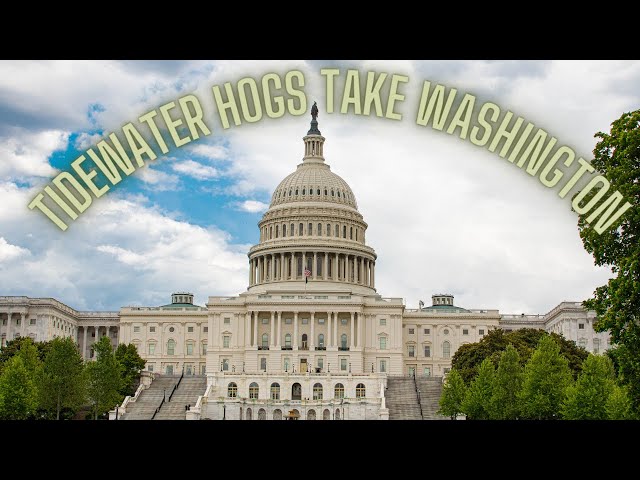 Tidewater HOGs take Washington DC 360 Video