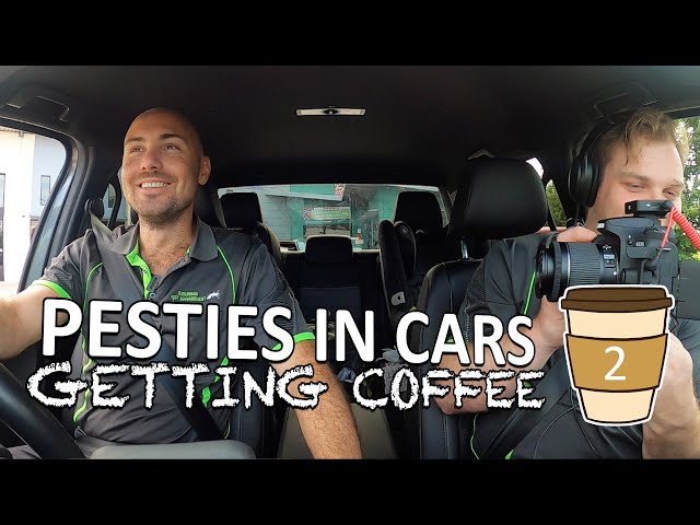 PESTIES in CARS getting COFFEE #2 | SPM