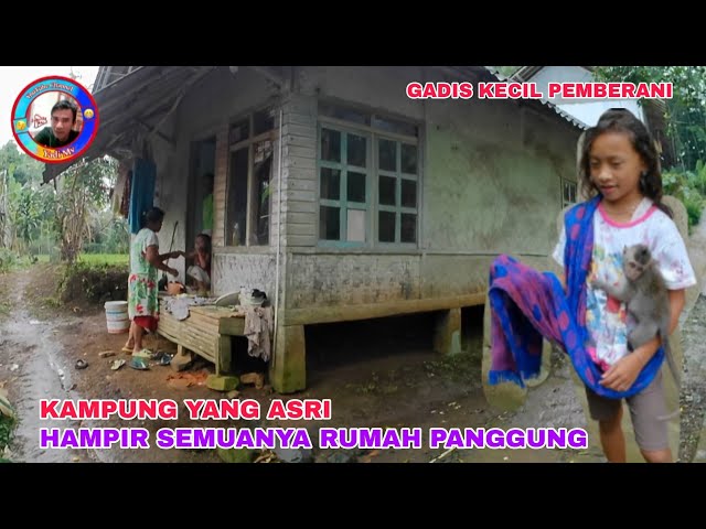 DI KAMPUNG INI HAMPIR SEMUANYA RUMAH PANGGUNG, KAMPUNG YANG ASRI DI PEGUNUNGAN.