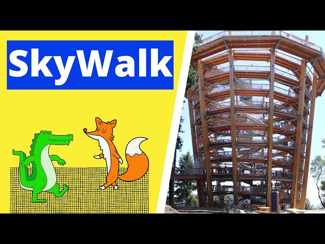 Visiting Malahat SkyWalk with Alex Kids Fun