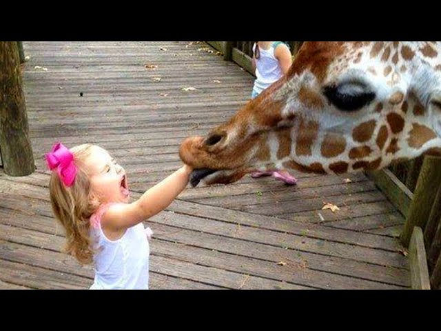 Funny And Cute Babies React Animal At Zoo #4 ★ Funny Baby Videos Gods Laugh