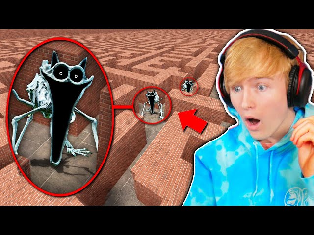 Can NIGHTMARE CATNAP find me in a MAZE?! (Garry's Mod Sandbox)