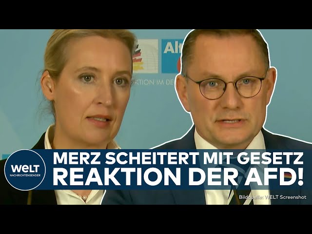 BUNDESTAG: Reaktion der AfD! Weidel äußert sich nach Scheitern des Zustrombegrenzungsgesetz von Merz