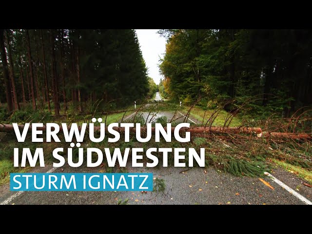 Sturmtief Hendrik fegt über den Südwesten | SWR Extra 21.10.2021