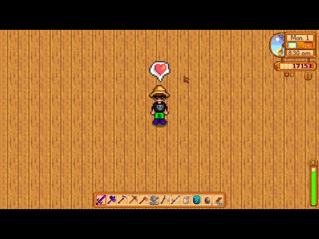 The Dance of The Moonlight Jellies!!!      Stardew Valley