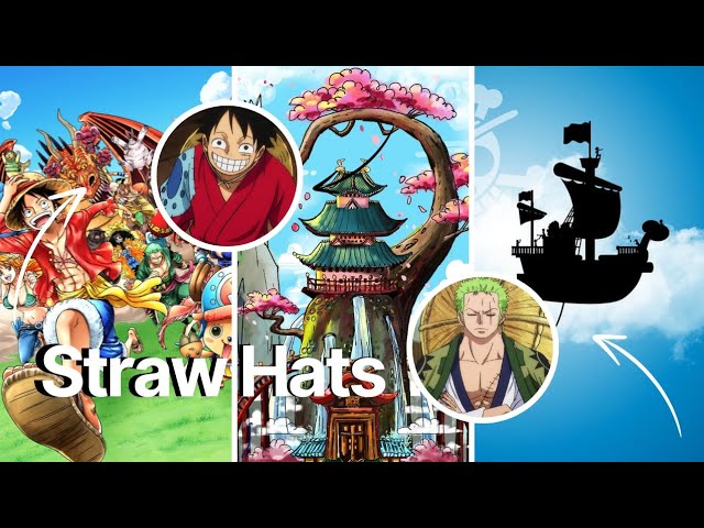 Straw Hats Total Journey Time😅#onepiece #luffy