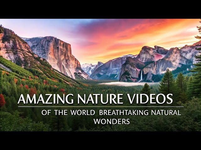 Amazing Nature Videos of the World – Breathtaking Natural Wonders