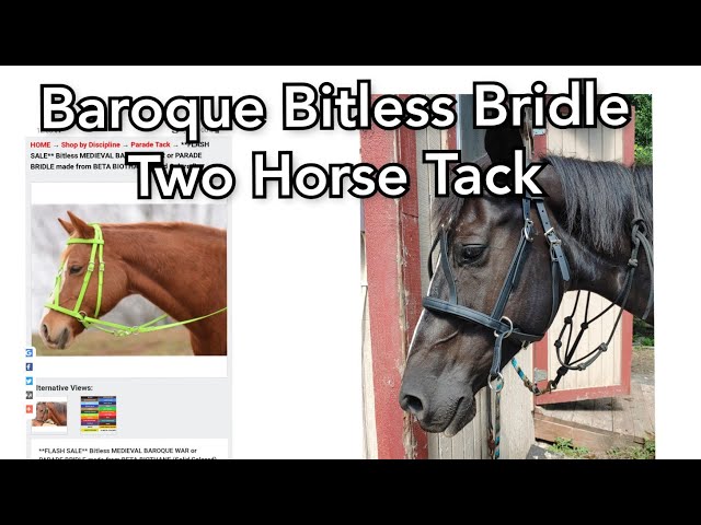 Baroque Bitless Bridle in Biothane from Two Horse Tack