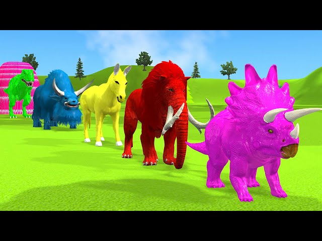 Long Slide Game With Elephant Gorilla Buffalo Hippopotamus Tiger 3d Animal Game Funny 3d Animals