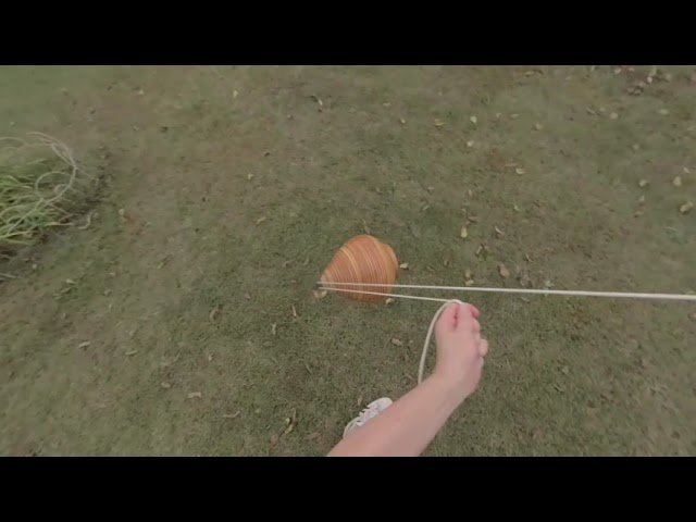 big wood spinning top VR180