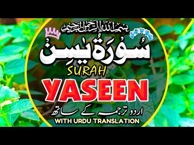 Surah Yasin(Yaseen) | Full With Arabic | Beautiful recitation|یس سورہ 36|000118|edit&pgdinz