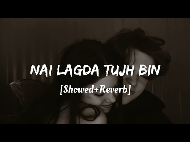 NAI LAGDA TUJH BIN - LOFI SONG || New Version || 🎧