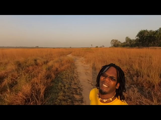 Walking In The Plains Of Africa