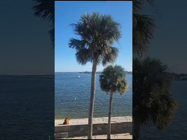 Uncovering Hidden Treasures at Castillo St Augustine