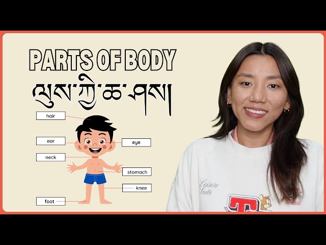 LEARN PARTS OF THE BODY | HUMAN BODY VOCABULARY | ལུས་ཀྱི་ཆ་ཤས།