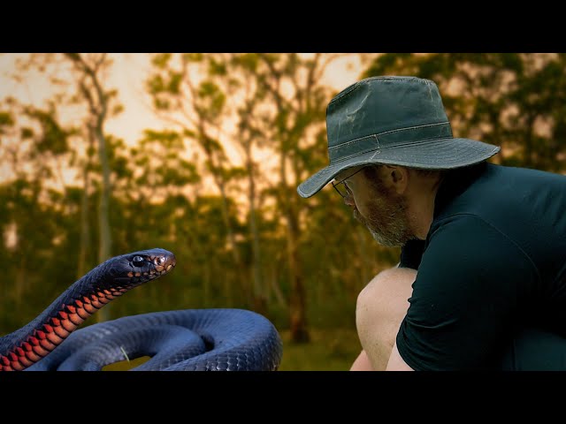 CAMPING Hiking SOLO [ SNAKE While HIKING | ASMR ]