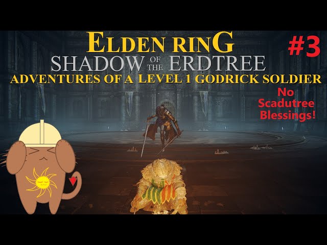 Rune Level 1 No Scadutree Blessing Godrick Soldier Cosplay! (PC)Elden Ring: Shadow of the Erdtree!