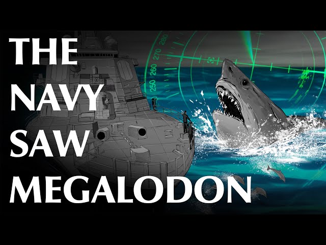 USN Petty Officer and Others Report Megalodon Sightings