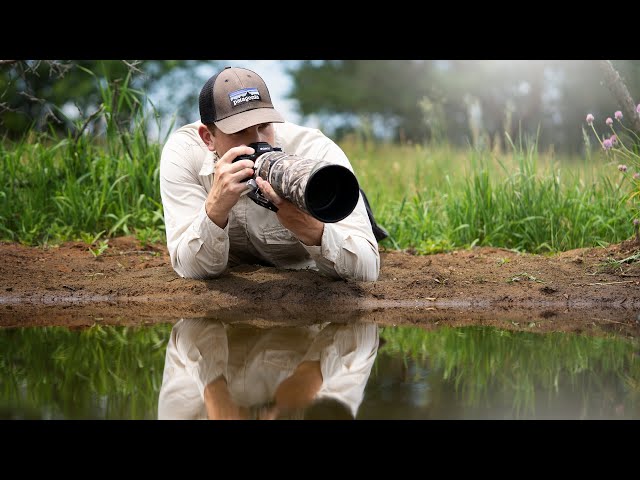 BIRD Photography at my DIY WILDLIFE Pond