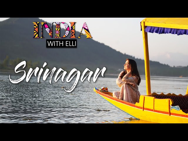 Elli AvrRam Explores Summer Capital Of Jammu & Kashmir, Srinagar | India With Elli Ep 4| Curly Tales