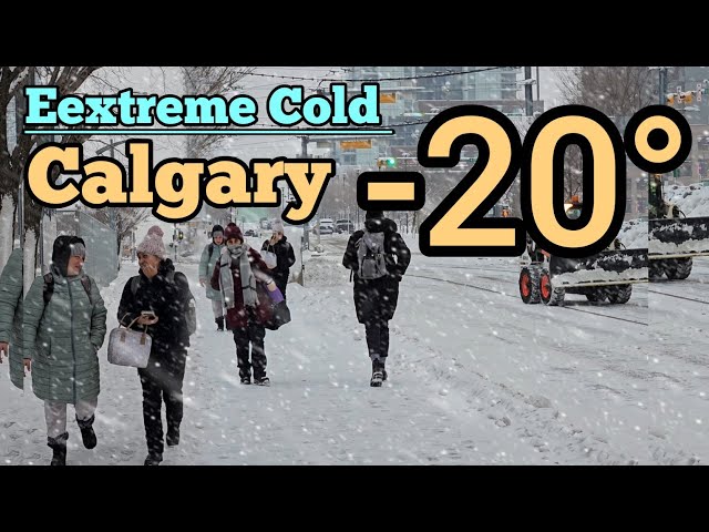 Snowfall and Extreme Cold in Calgary on February 2025. Calgary winter Walking tour #Calgary #snow