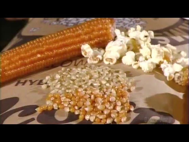 How It's Actually Made - Popcorn