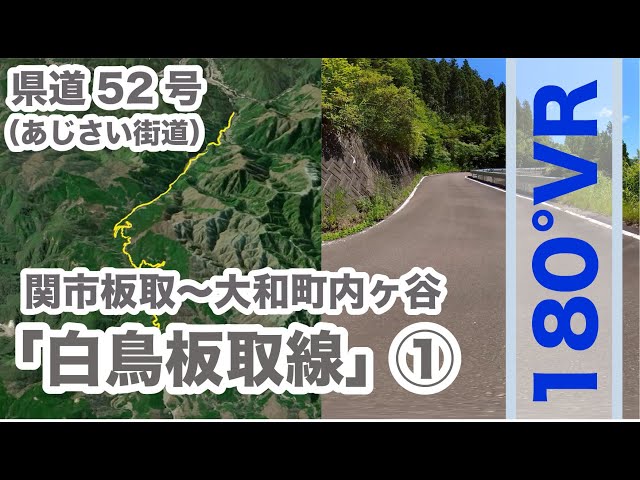 【郡上の道】県道52号「白鳥板取線」あじさい街道1（関市板取〜大和町内ヶ谷）Insta360 One X2（180VR）