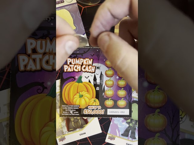 🎃CA Lotto Pumpkin Patch Cash Scratcher Fun!  Win or Bust! 🎃 (Video 67) #lottery #lotterywinner