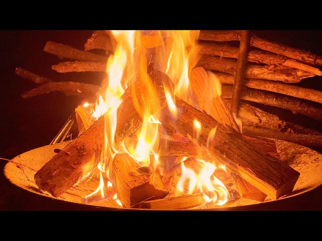 Relaxing with Crackling Campfire and Babbling Brook Sounds - 焚き火とせせらぎの音でリラックスする1時間 | ambient ASMR