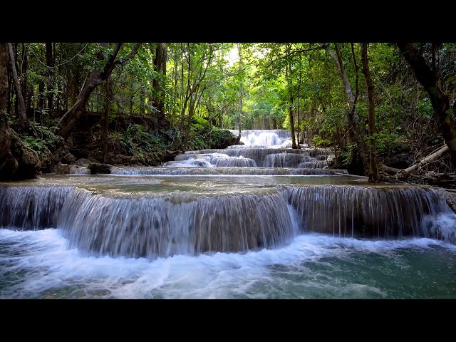 Waterfall Gentle Stream Sound in forest 24/7. Waterfall Sounds, Flowing Water, White Noise for Sleep